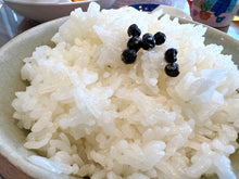 画像をギャラリービューアに読み込む, カンポットペッパー 生胡椒の塩漬け(黒)